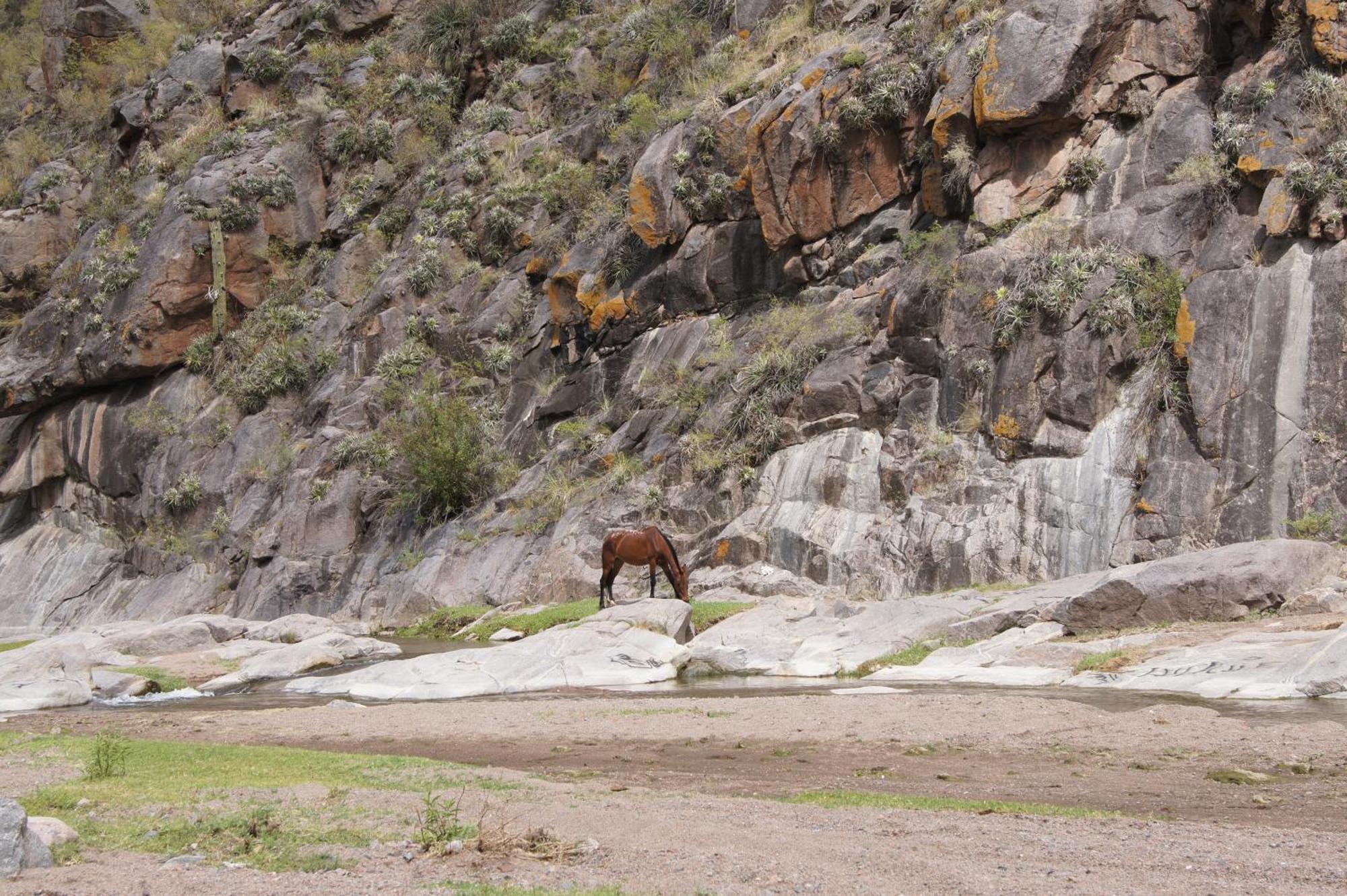 Altos Del Valle San Agustín de Valle Fértil エクステリア 写真